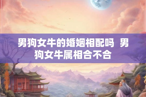 男狗女牛的婚姻相配吗  男狗女牛属相合不合