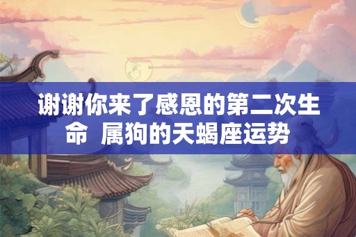 谢谢你来了感恩的第二次生命  属狗的天蝎座运势