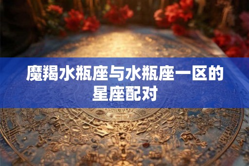 魔羯水瓶座与水瓶座一区的星座配对 魔羯水瓶座与水瓶座一区的星座配对