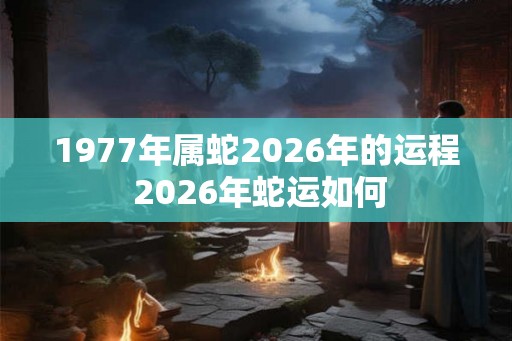 1977年属蛇2026年的运程 2026年蛇运如何