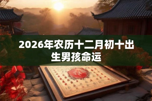 2026年农历十二月初十出生男孩命运