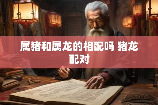 属猪和属龙的相配吗 猪龙配对