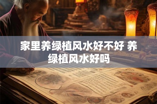 家里养绿植风水好不好 养绿植风水好吗