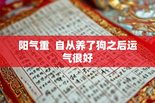 阳气重  自从养了狗之后运气很好