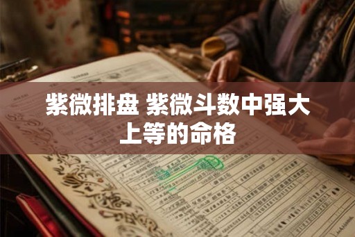 紫微排盘 紫微斗数中强大上等的命格