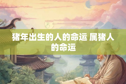猪年出生的人的命运 属猪人的命运