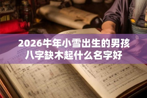 2026牛年小雪出生的男孩八字缺木起什么名字好 2026牛年小雪出生的男孩八字缺木起什么名字好