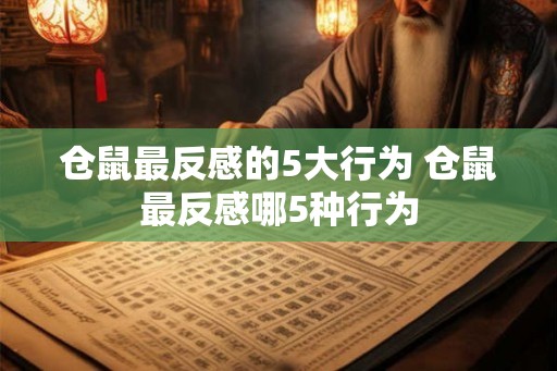 仓鼠最反感的5大行为 仓鼠最反感哪5种行为