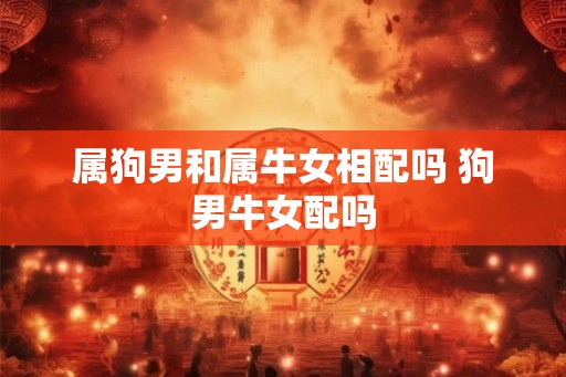 属狗男和属牛女相配吗 狗男牛女配吗