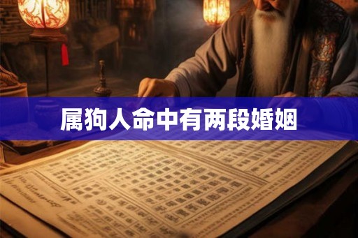 属狗人命中有两段婚姻