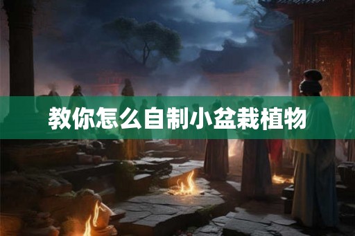教你怎么自制小盆栽植物