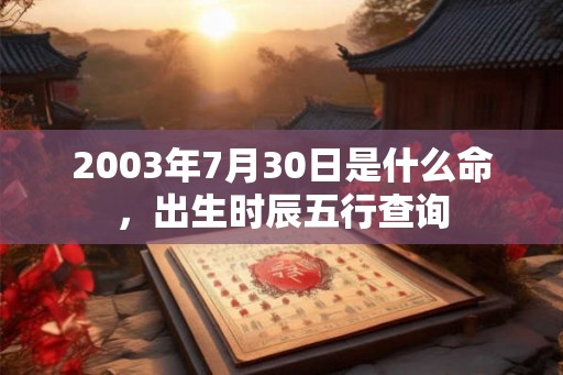 2003年7月30日是什么命，出生时辰五行查询