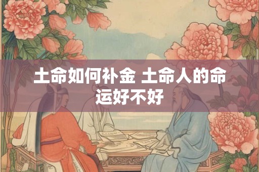 土命如何补金 土命人的命运好不好