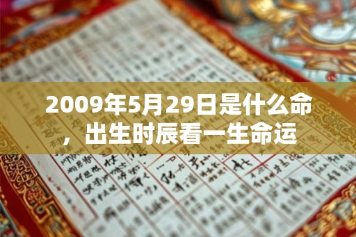 2009年5月29日是什么命，出生时辰看一生命运