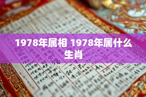 1978年属相 1978年属什么生肖