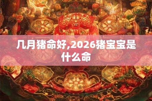 几月猪命好,2026猪宝宝是什么命