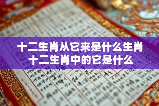 十二生肖从它来是什么生肖 十二生肖中的它是什么