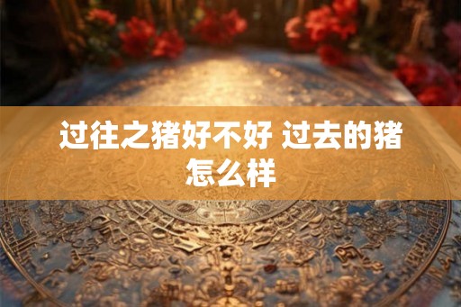 过往之猪好不好 过去的猪怎么样