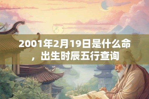 2001年2月19日是什么命，出生时辰五行查询