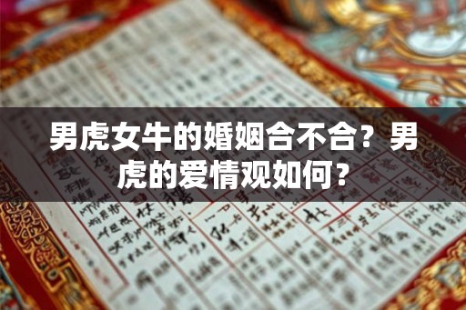 男虎女牛的婚姻合不合？男虎的爱情观如何？
