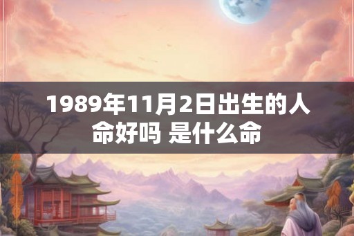 1989年11月2日出生的人命好吗 是什么命