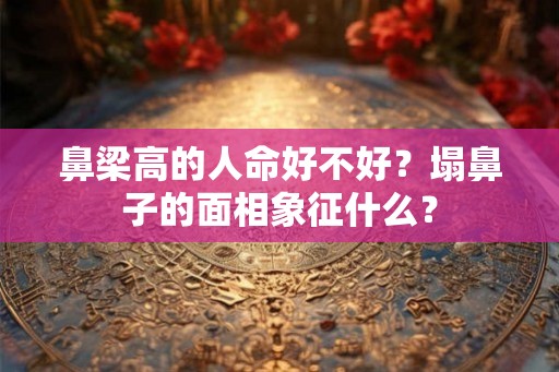 鼻梁高的人命好不好?塌鼻子的面相象征什么? 鼻梁高的人命好不好?塌鼻子的面相象征什么?