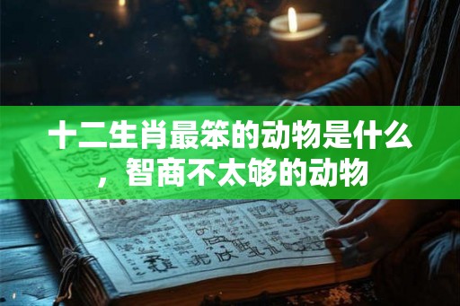十二生肖最笨的动物是什么，智商不太够的动物