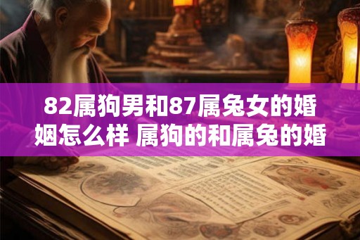 82属狗男和87属兔女的婚姻怎么样 属狗的和属兔的婚配指数