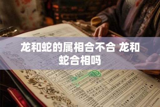 龙和蛇的属相合不合 龙和蛇合相吗