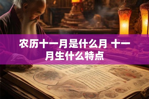 农历十一月是什么月 十一月生什么特点