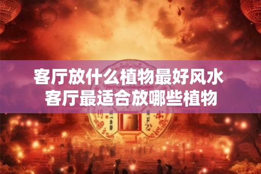客厅放什么植物最好风水 客厅最适合放哪些植物