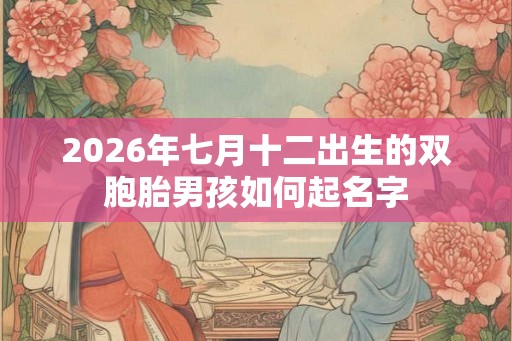 2026年七月十二出生的双胞胎男孩如何起名字