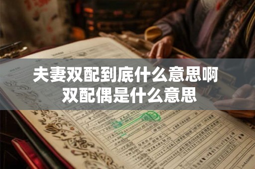 夫妻双配到底什么意思啊  双配偶是什么意思