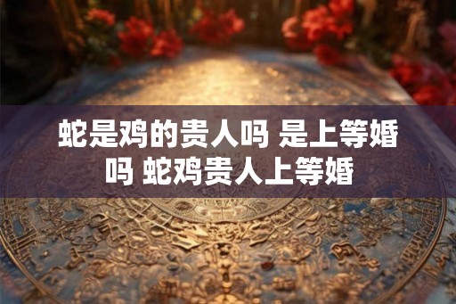 蛇是鸡的贵人吗 是上等婚吗 蛇鸡贵人上等婚
