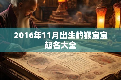 2016年11月出生的猴宝宝起名大全