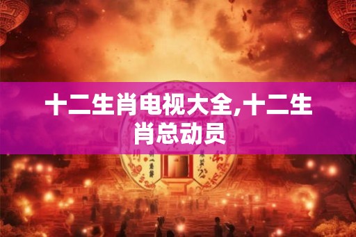 十二生肖电视大全,十二生肖总动员