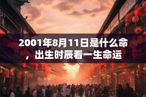 2001年8月11日是什么命，出生时辰看一生命运