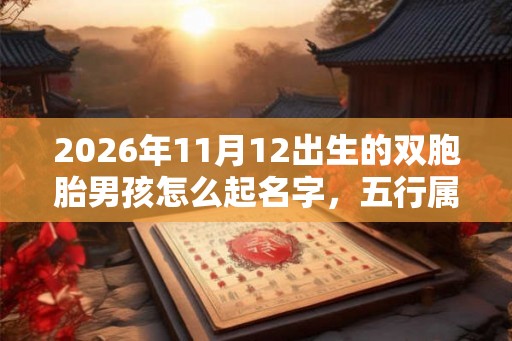 2026年11月12出生的双胞胎男孩怎么起名字，五行属什么