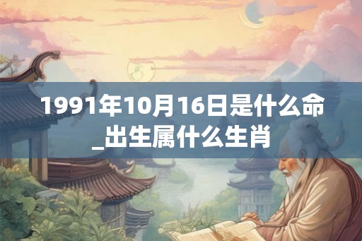 1991年10月16日是什么命_出生属什么生肖