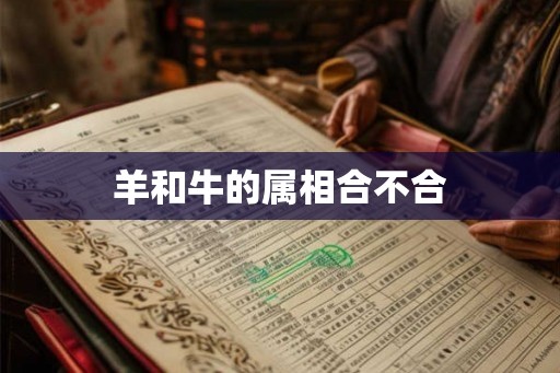 羊和牛的属相合不合