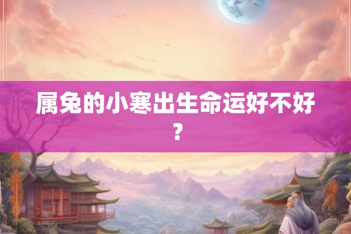 属兔的小寒出生命运好不好？