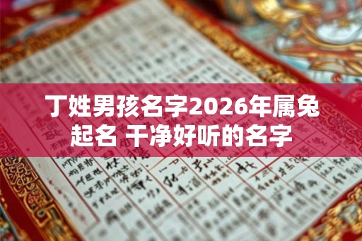 丁姓男孩名字2026年属兔起名 干净好听的名字