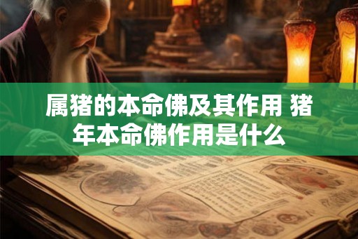 属猪的本命佛及其作用 猪年本命佛作用是什么