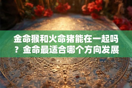金命猴和火命猪能在一起吗？金命最适合哪个方向发展？