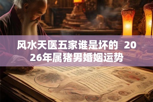 风水天医五家谁是坏的  2026年属猪男婚姻运势