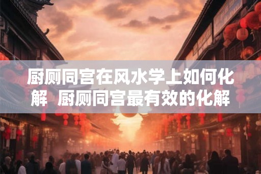 厨厕同宫在风水学上如何化解  厨厕同宫最有效的化解方法图