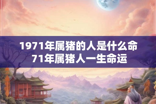 1971年属猪的人是什么命 71年属猪人一生命运 1971年属猪的人是什么命 71年属猪人一生命运
