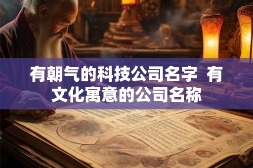有朝气的科技公司名字  有文化寓意的公司名称