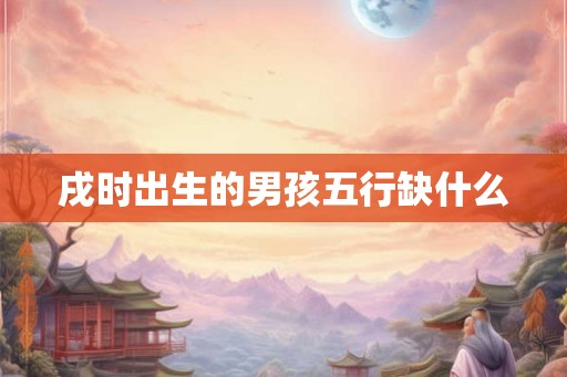 戌时出生的男孩五行缺什么