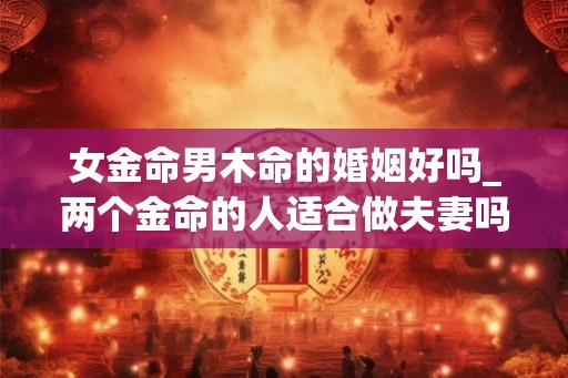 女金命男木命的婚姻好吗_两个金命的人适合做夫妻吗